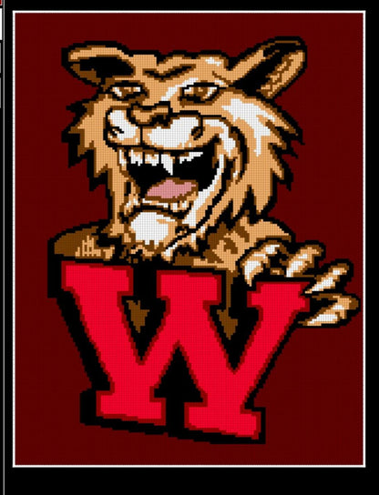 Custom Crochet Graphghan Pattern