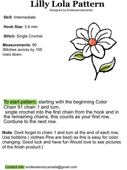 Lilly Lola Graphghan Crochet Small Panel - Beginner Friendly