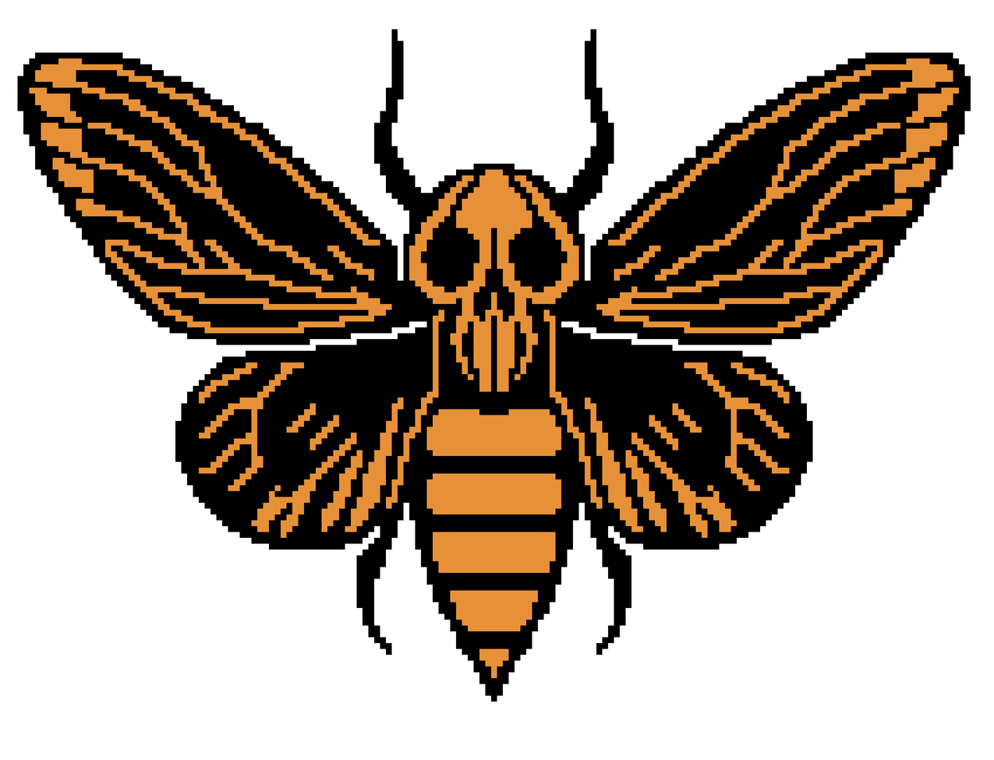 Moth Skull Graphghan Crochet Panel Pattern