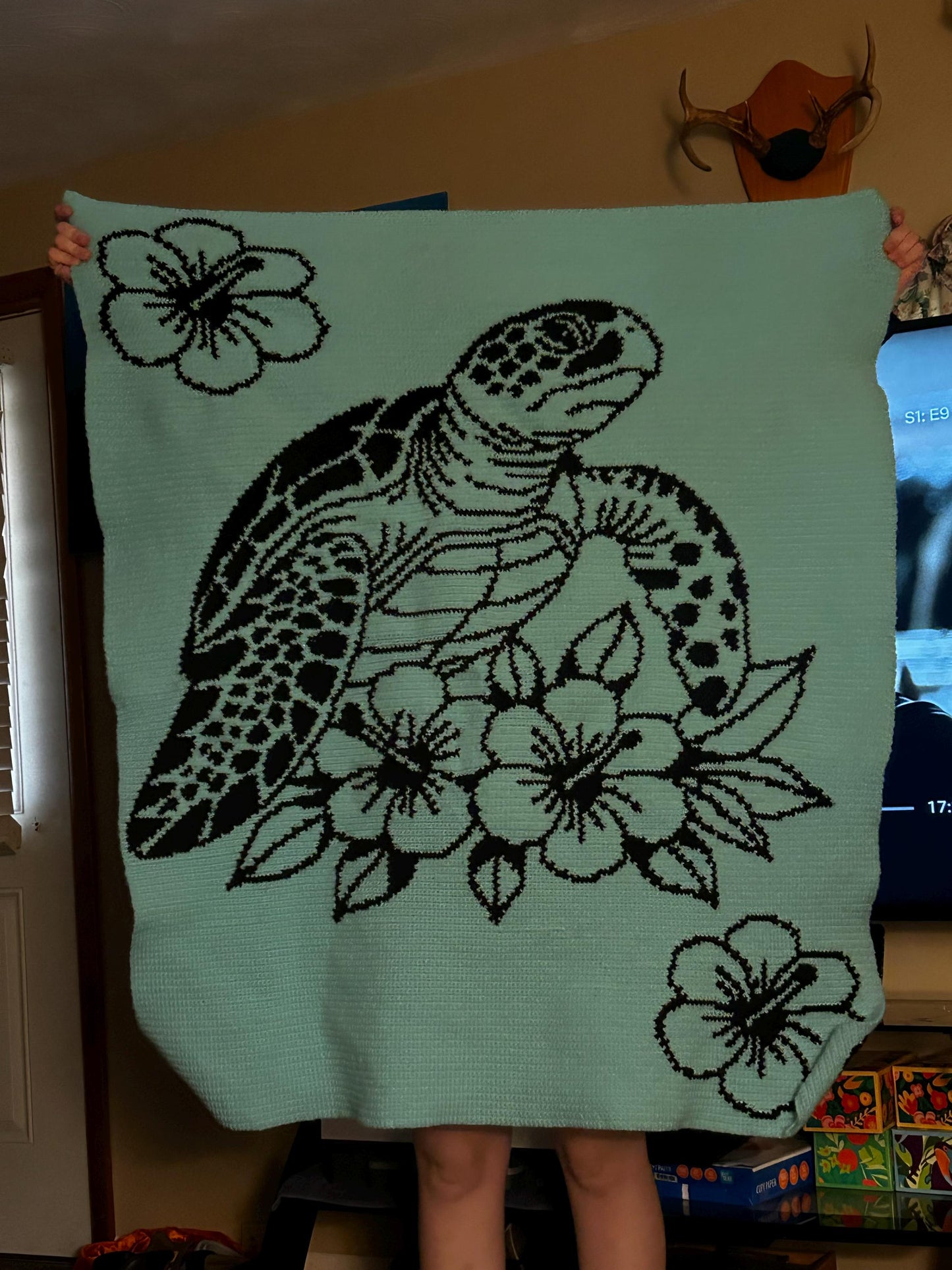 Mr Bubbles Turtle Graphghan Crochet Pattern