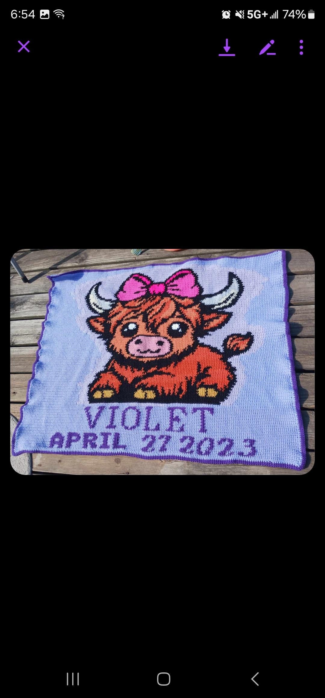 Custom Crochet Graphghan Pattern