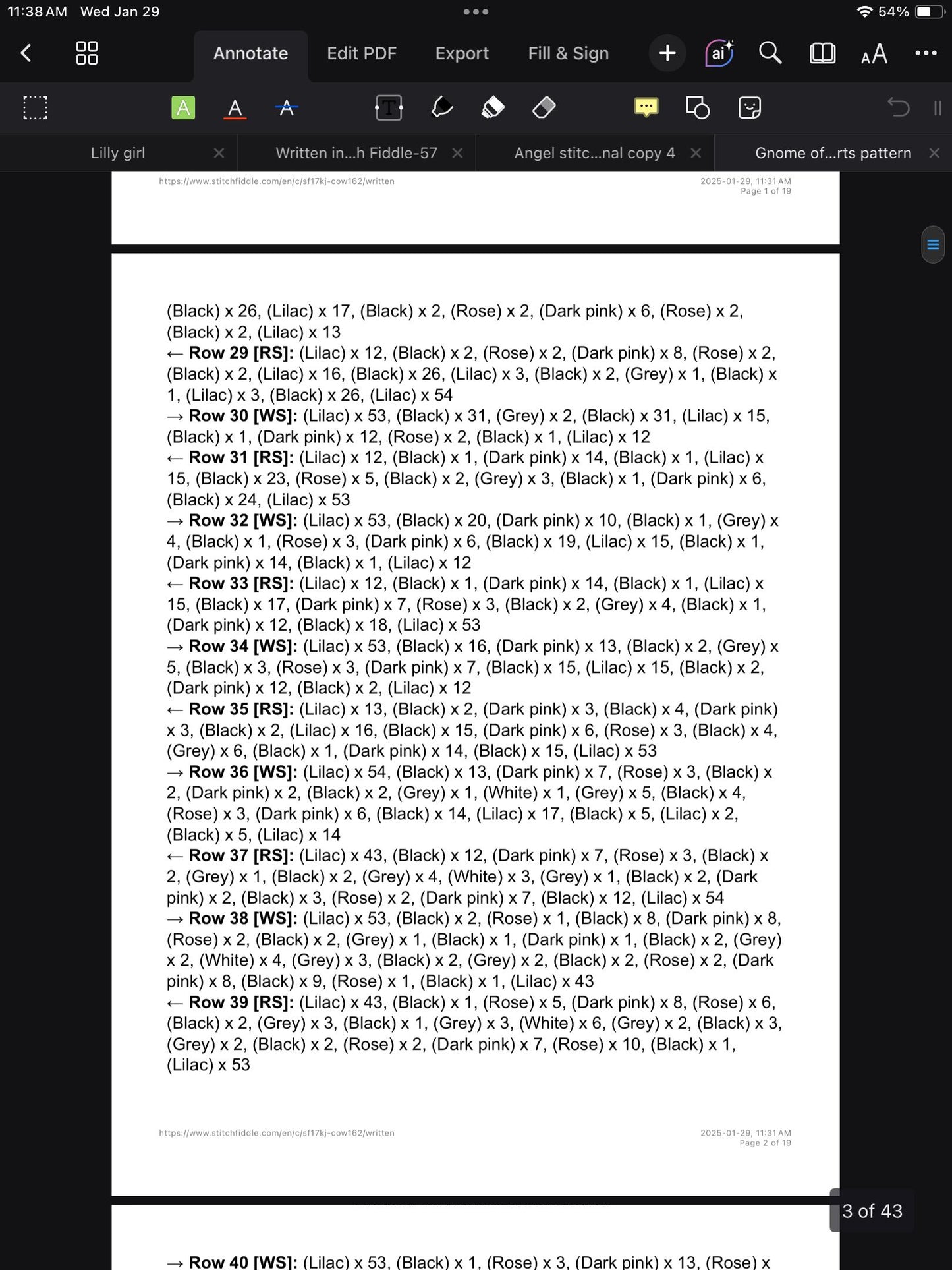 Cowgirl Princess Graphghan Crochet Pattern